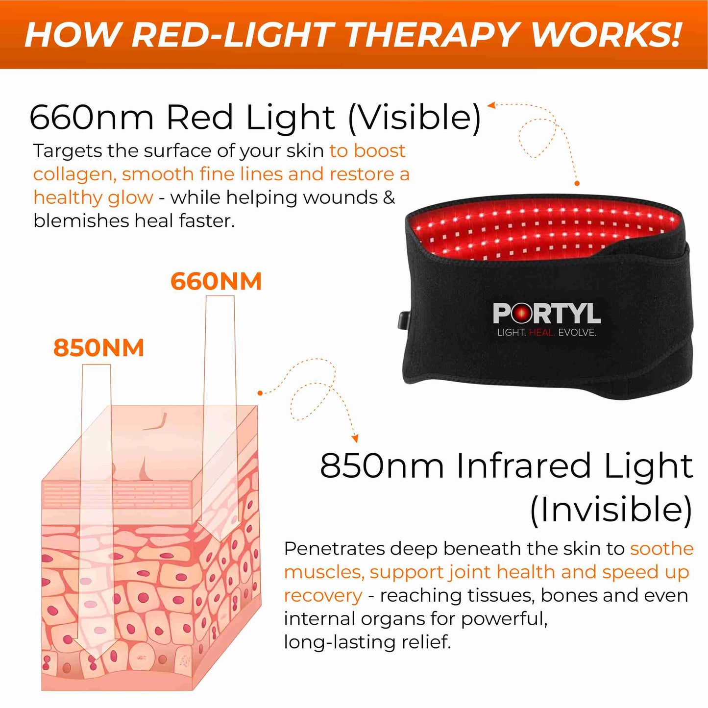 Portyl Light - Pain Relief & Slimming Belt